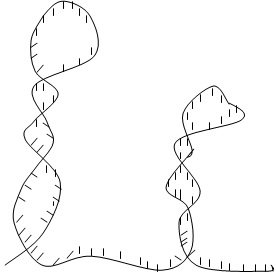 single stranded RNA molecule